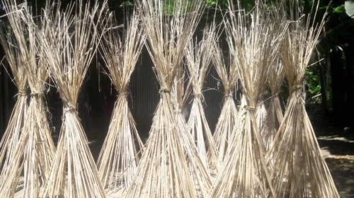 পাটকাঠি থেকে মিলবে টেকসই গ্রাফিন, প্রযুক্তিতে নতুন সম্ভাবনা